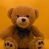 brown teddy bear with black and white bow tie