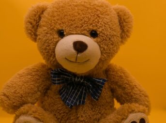 brown teddy bear with black and white bow tie