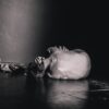 grayscale photography of man lying on floor