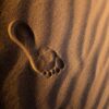 brown sand with heart shaped stones