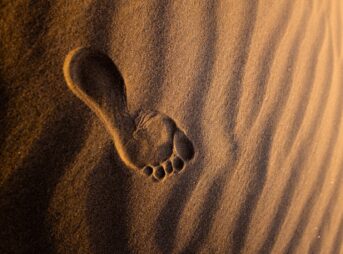 brown sand with heart shaped stones